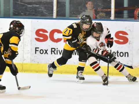 a group of men playing hockey