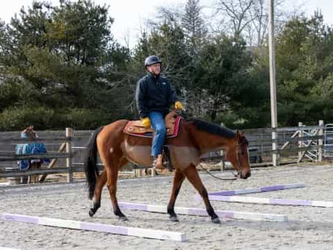 a person riding a horse