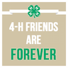 Johnson County 4-H company logo
