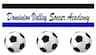 Dominion Valley Soccer Academy company logo