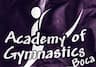 Academy Of Gymnastics Boca company logo