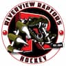 Riverview Dek Hockey company logo