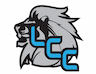 Lions Cheer Company company logo