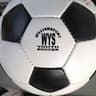 Williamsport MD Youth Soccer company logo