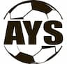 Albany Youth Soccer company logo