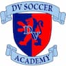 DV Soccer Academy company logo