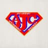 American Jujitsu Center company logo