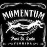 Momentum Academy company logo