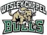 Wesley Chapel Bulls company logo