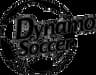 Dynamo Soccer Bourbonnais Illinois company logo