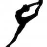 Central Mass Dance Academy company logo