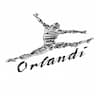 Orlandi Dance Center company logo