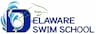 Delaware Swim School company logo