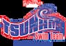 Sarasota Swim Academy company logo