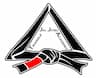 Triangle Jiu-Jitsu Academy company logo