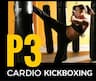 Pride Martial Arts P3 Cardio Kickboxing company logo