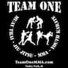 Team One Mixed Martial Arts company logo