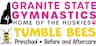 Granite State Gymnastics company logo