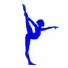 Silk City Gymnastics & Dance company logo