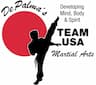 DePalma's Team USA Martial Arts - Queen Creek company logo