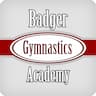 Badger Gymnastics Academy of Waunakee company logo