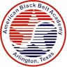 American Black Belt Academy | Arlington, Texas company logo