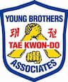 Young Brothers Tae Kwon Do - Hampton School company logo