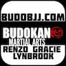 Budokan Martial Arts company logo