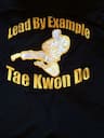Lead by Example Tae Kwon Do - South Run company logo