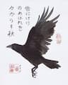 CROW Survival and Martial Arts company logo