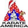 Karate America Neenah company logo