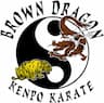 Brown Dragon Kenpo Karate company logo