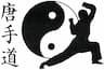 USA Martial Arts in Woodbury company logo