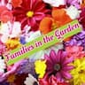 Families in the Garden company logo