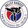 Valley Karate, LLC company logo