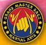 Master Baez Martial Arts company logo