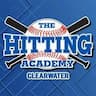 The Hitting Academy- Brandon company logo