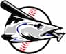 Jacksonville Beach Baseball Association company logo