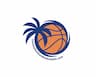 Tommy Hulihan Basketball company logo