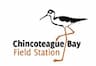 Chincoteague Bay Field Station Summer Camp company logo