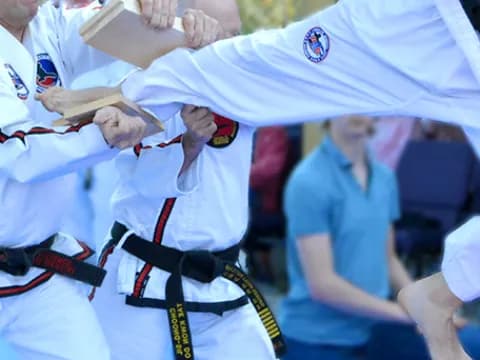 a person holding a flag
