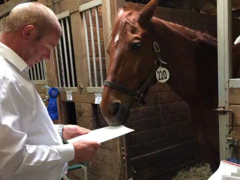 a man feeding a horse