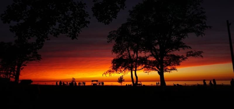 a sunset with trees