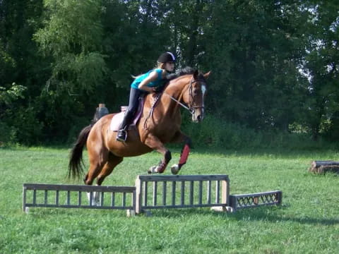 a person riding a horse