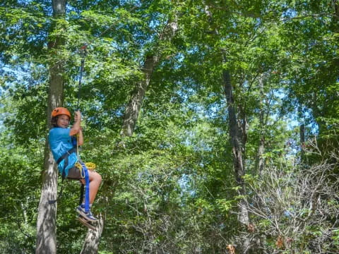 a man climbing a tree