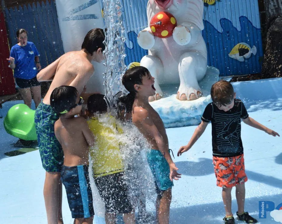 a group of kids playing in a pool
