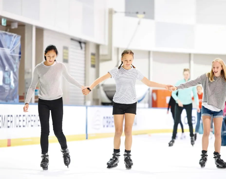 a group of people ice skating