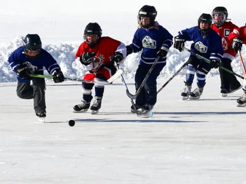 a group of people playing hockey