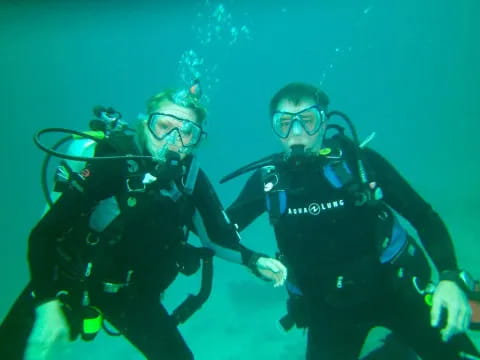 a group of scuba divers