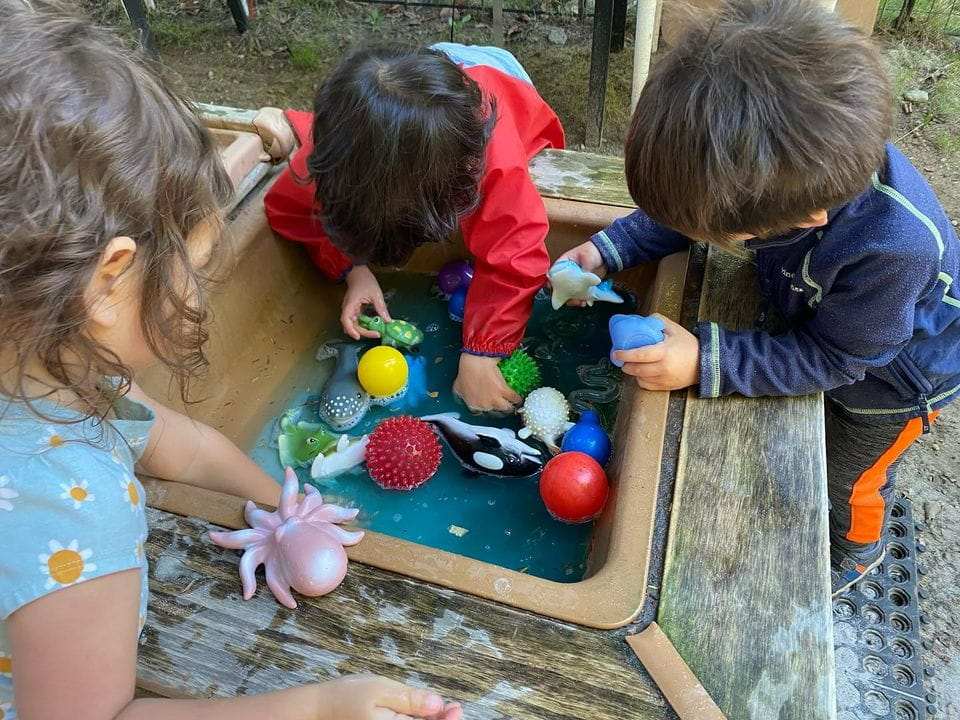 children playing with toys